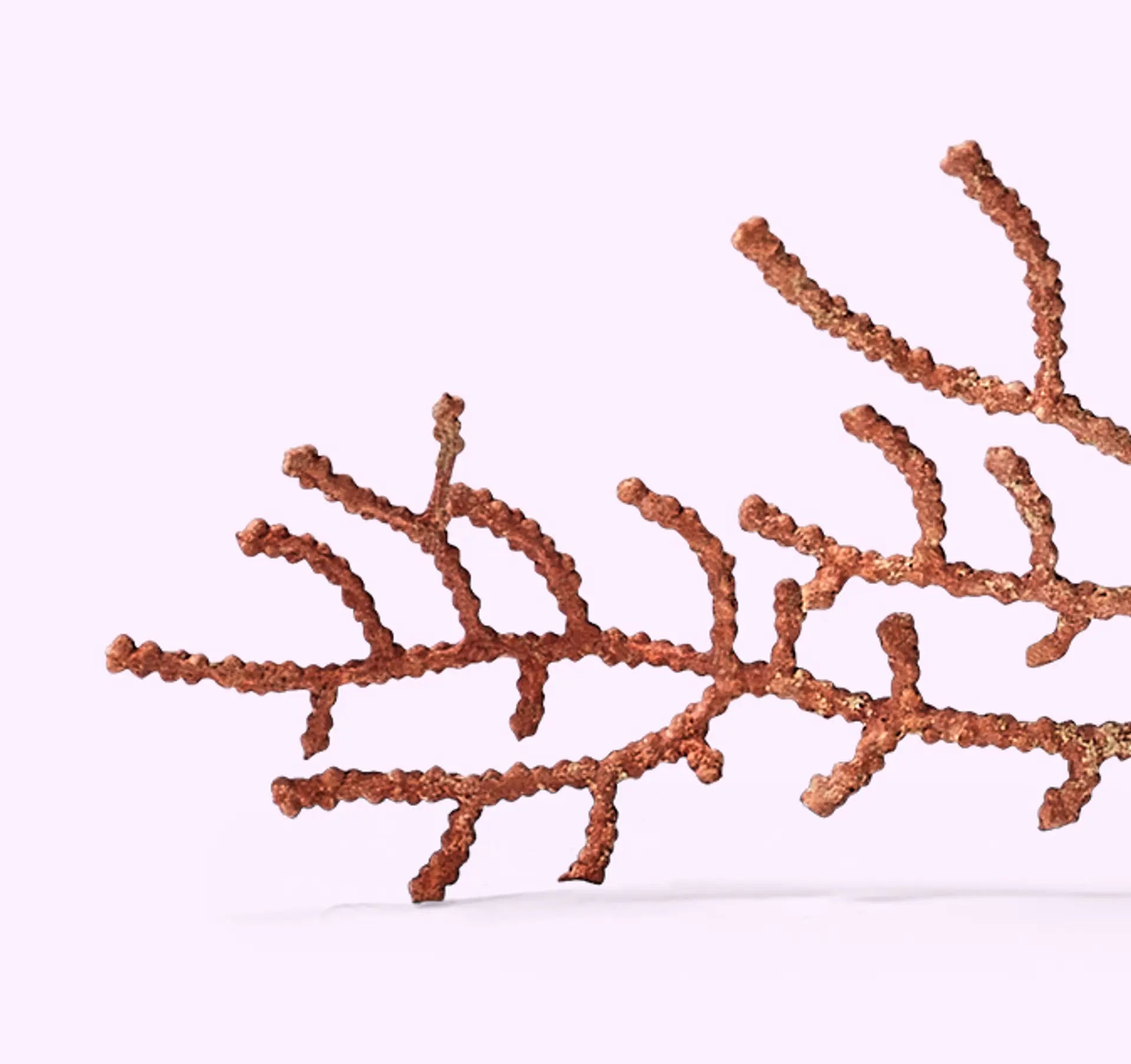 Shampoing Exfoliant Matcha Scrub