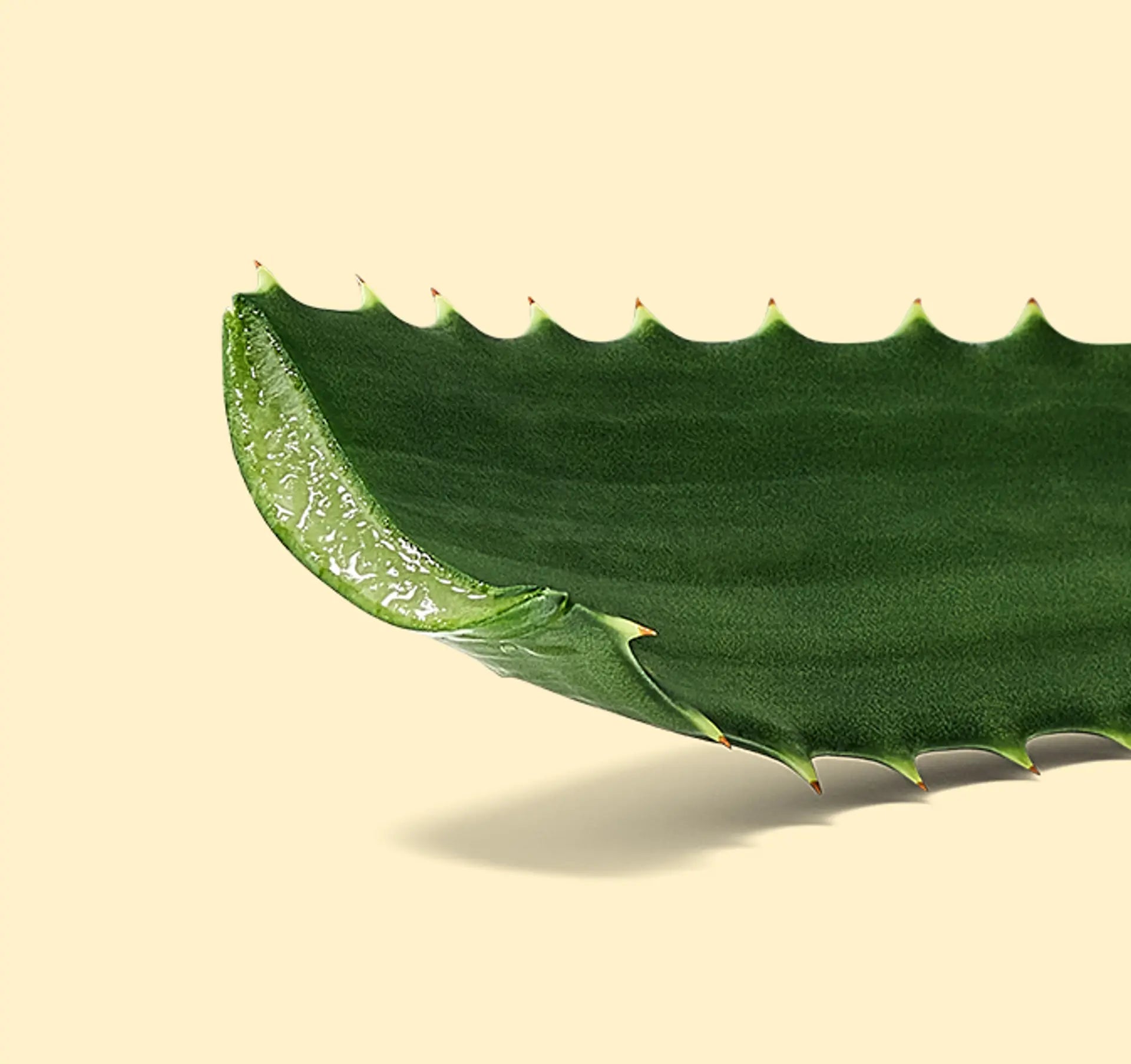 Spray Texture Matcha Moves